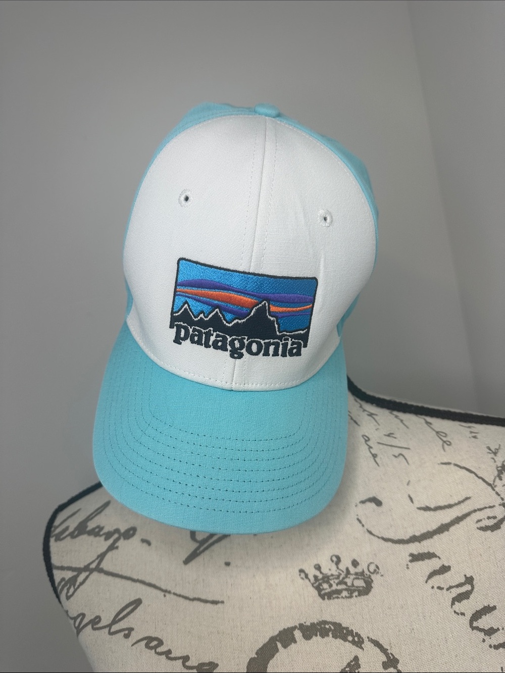 Patagonia White & Aqua Blue Trucker Cap with Mountain Patch